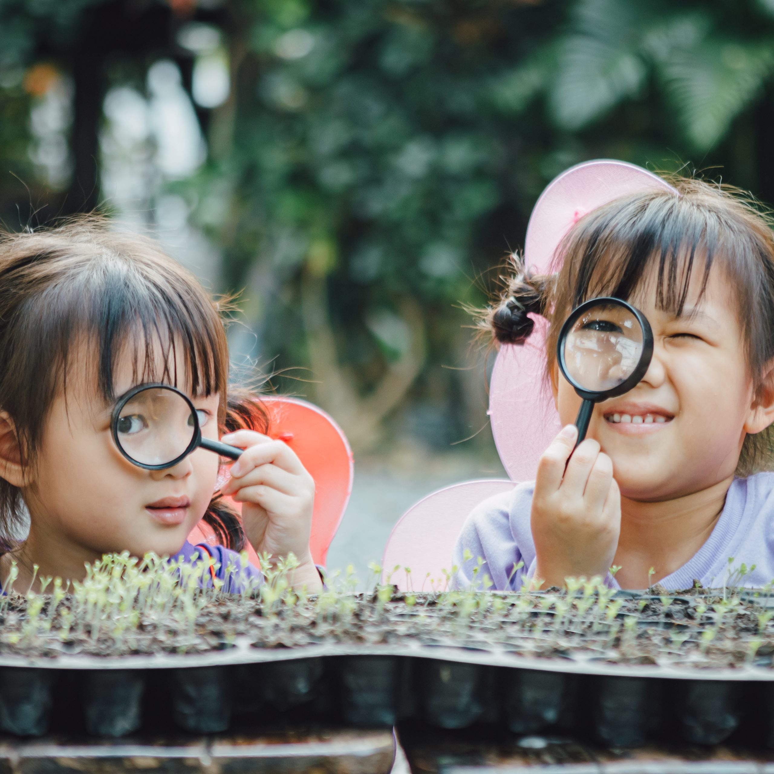 Trẻ 3 tuổi dễ dàng tiếp thu ngôn ngữ mới